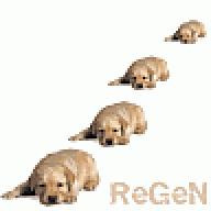 ReGeN