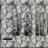 _banu_