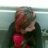 merwe_016