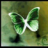 missmanyaq_s