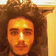 mozartica