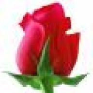 nurdemir