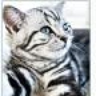 pisi_pisi