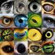 loccness