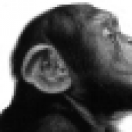 dostoyevsky