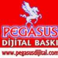 pegasusnuri