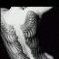 amillia