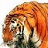 tiger_71