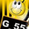 G_55