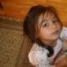 lizardd11