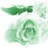 rose garden1