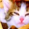 DeRyA CuN