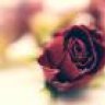 Larem 123