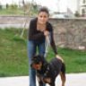 songul ozdemir