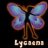 lycaena