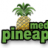 Media Pineapple