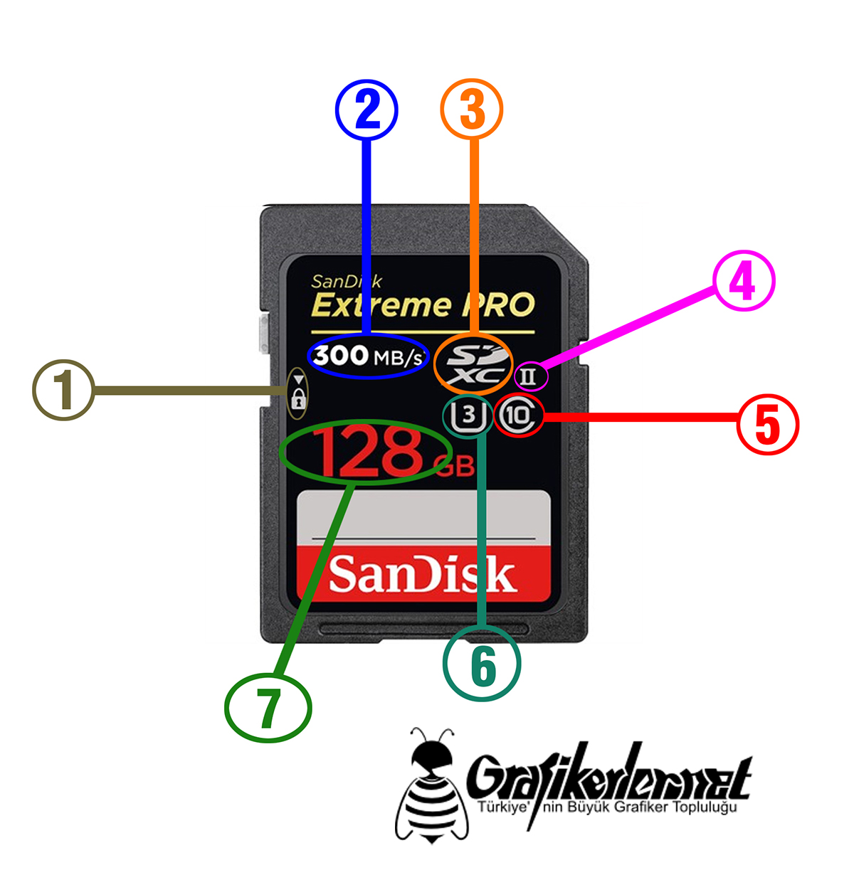 sd-card-ozellikleri.jpg